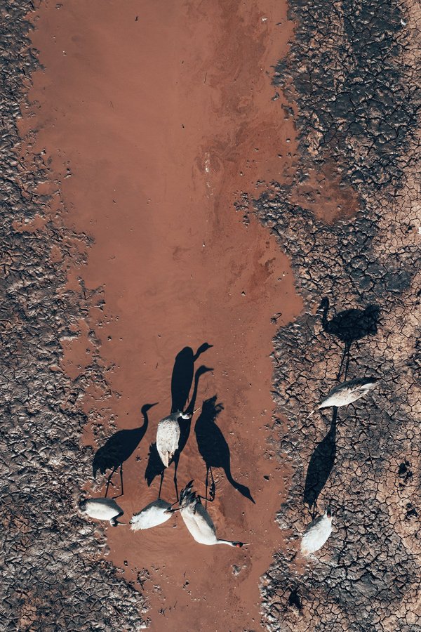 Quelle est la meilleure méthode pour effectuer une migration de données vers un nouveau serveur NAS?